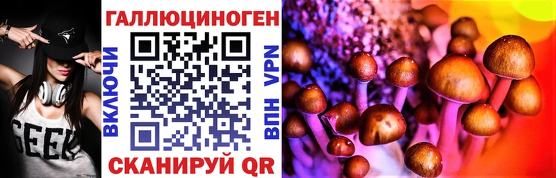 Галлюциногенные грибы Psilocybine cubensis  купить наркотик  Оренбург 