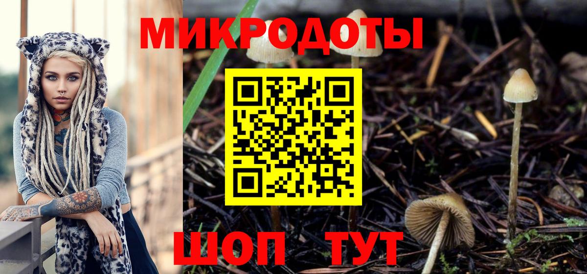 Галлюциногенные грибы GOLDEN TEACHER Оренбург